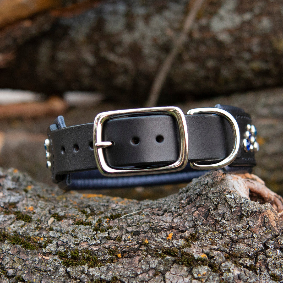 Black leather dog collar with silver buckle on a wooden surface