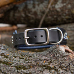 Black leather dog collar with silver buckle on a wooden surface