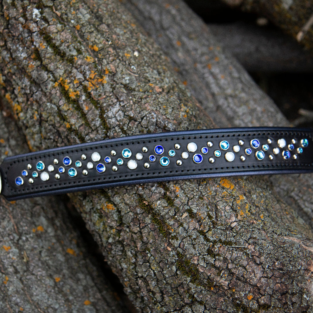 Black leather collar with decorative stones on a tree trunk