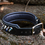 Padding detail view of Black leather dog collar with blue and white crystals on a tree branch