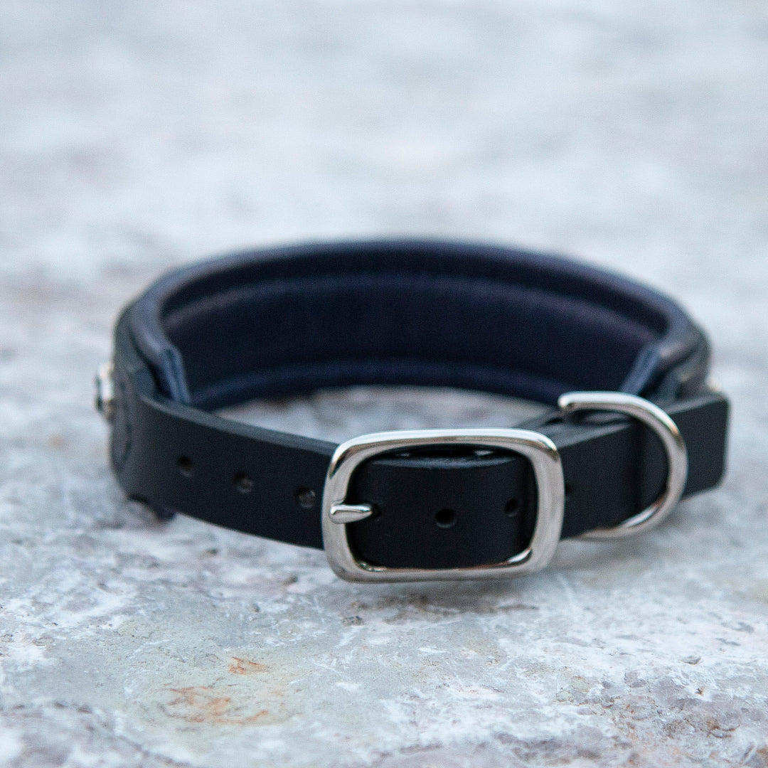Buckle View of navy Blue Black leather dog collar with silver buckle on a gray rock surface