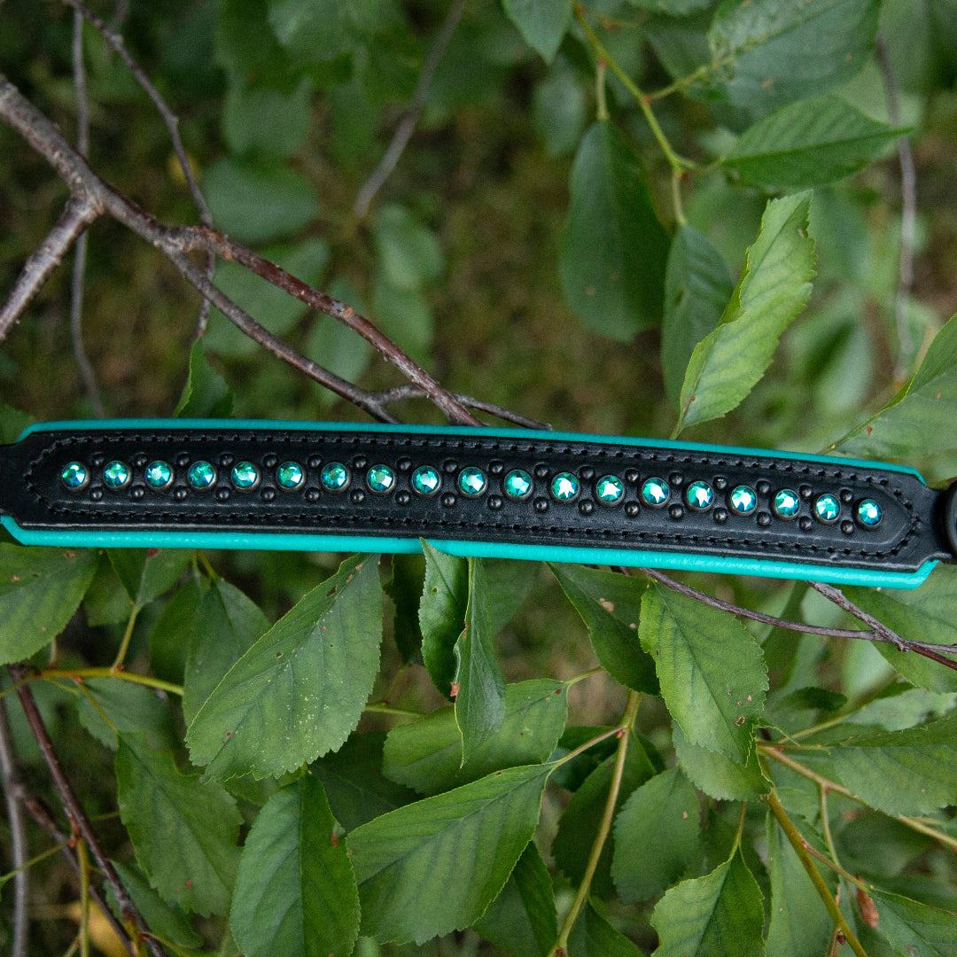 Teal and black leather dog collar on a branch with green leaves